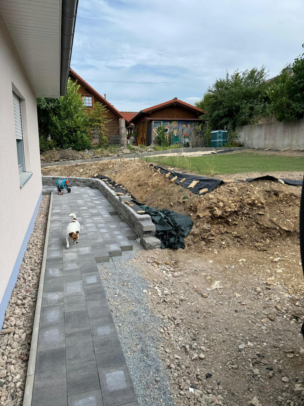 All-In-One Rollrasen