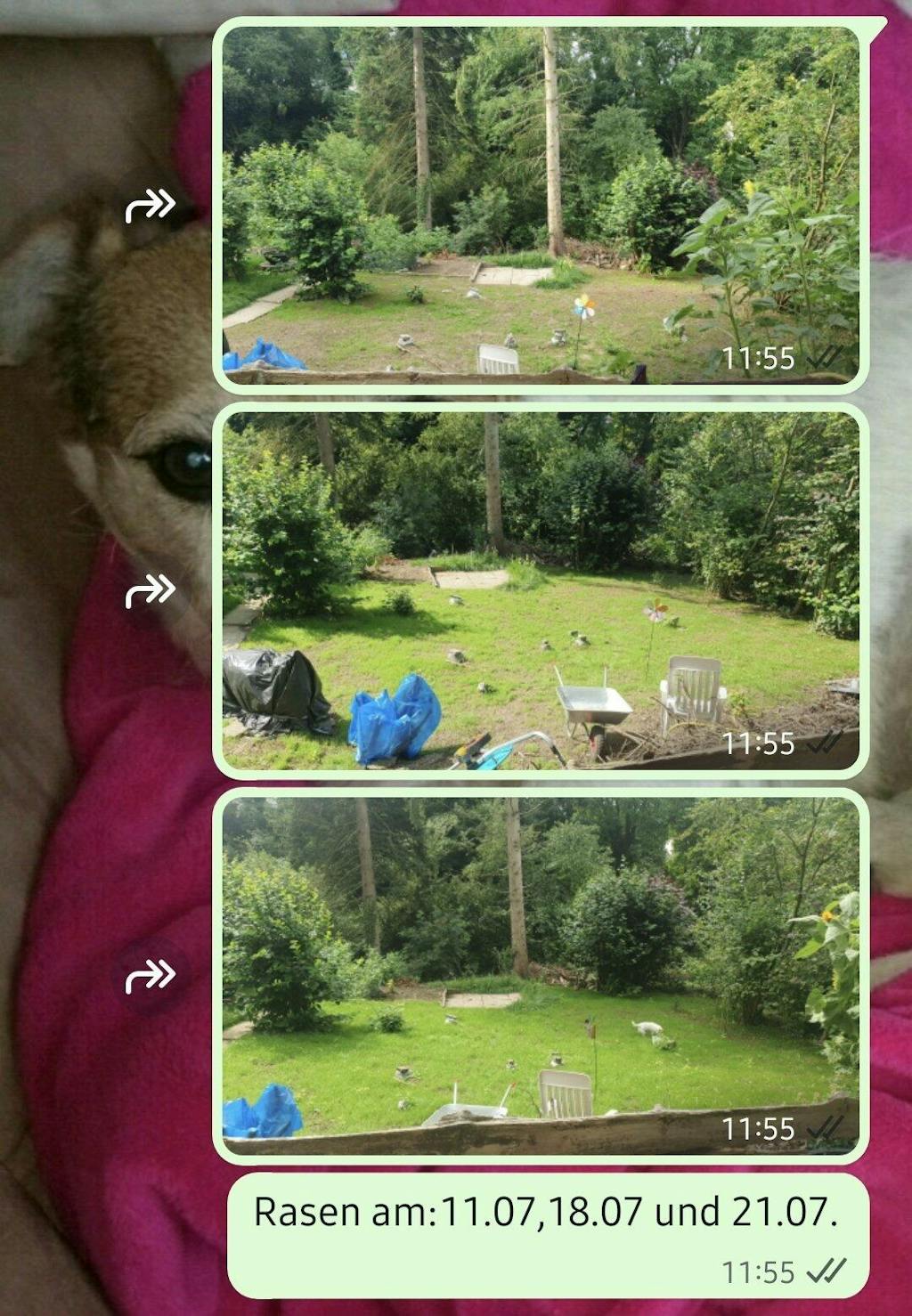 Greenyp Das Original