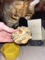 The Magic Griffin Cookie Collection (Enchanted Edition)