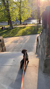 RETRO EDITION trimovací nůž – COARSE