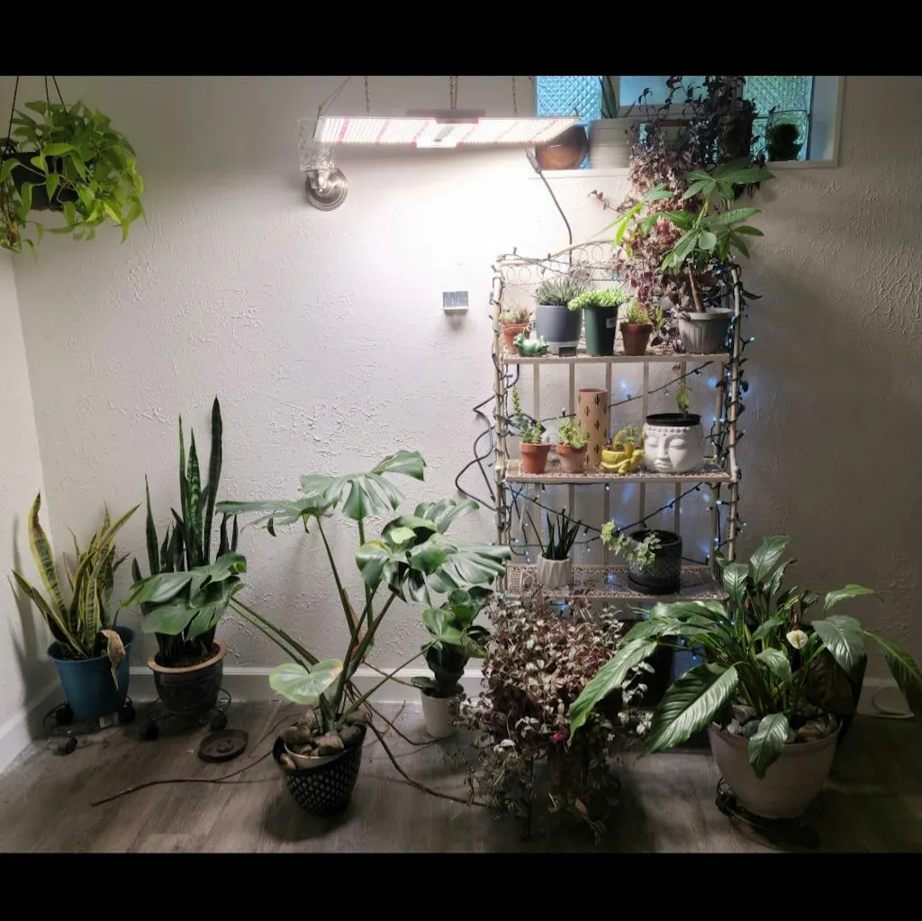 Spider Farmer SF2000 200W Dimmable Full Spectrum LED Grow Light