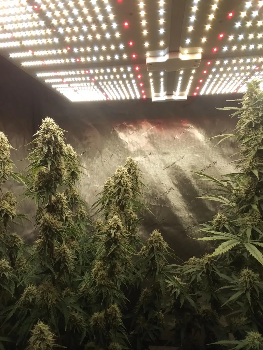 Spider Farmer SE5000 480W Dimmable Full Spectrum LED Grow Light