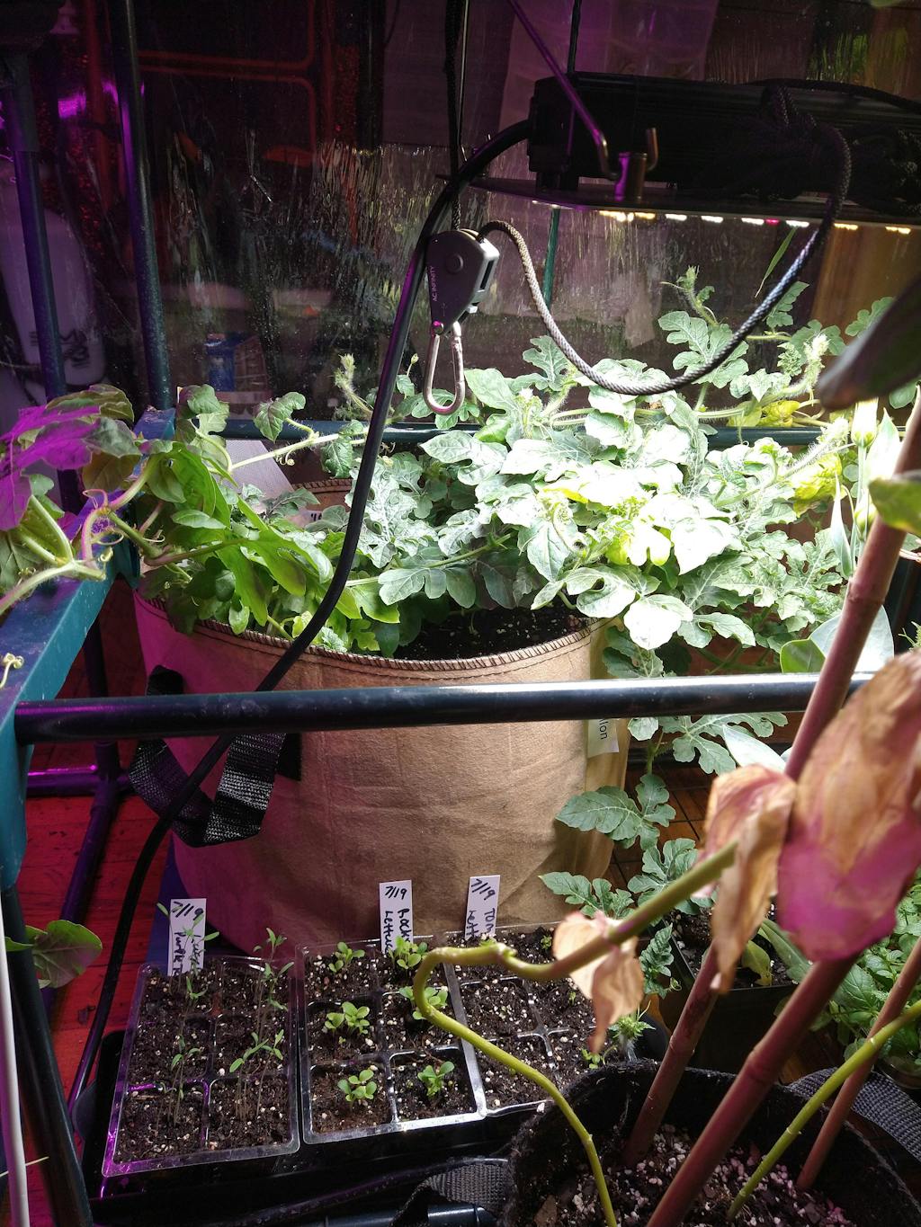 AC Infinity IONBOARD S22, Full Spectrum LED Grow Light 100W, Samsung LM301B, 2x2 Ft. Coverage