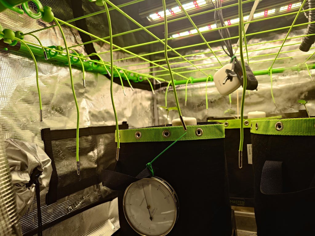 Betternet Upgrade-Sets für Growboxen und Zucht & Pflanzzelt - Für Fixture-Poles - Optimiert den Bewuchs