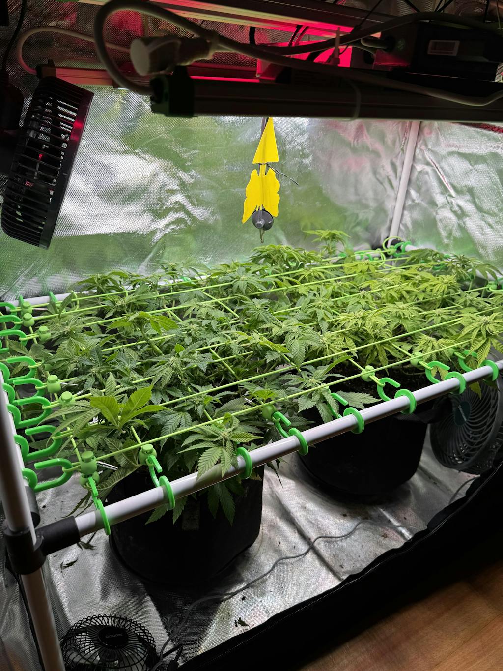 Betternet Upgrade-Sets für Growboxen und Zucht & Pflanzzelt - Für Fixture-Poles - Optimiert den Bewuchs