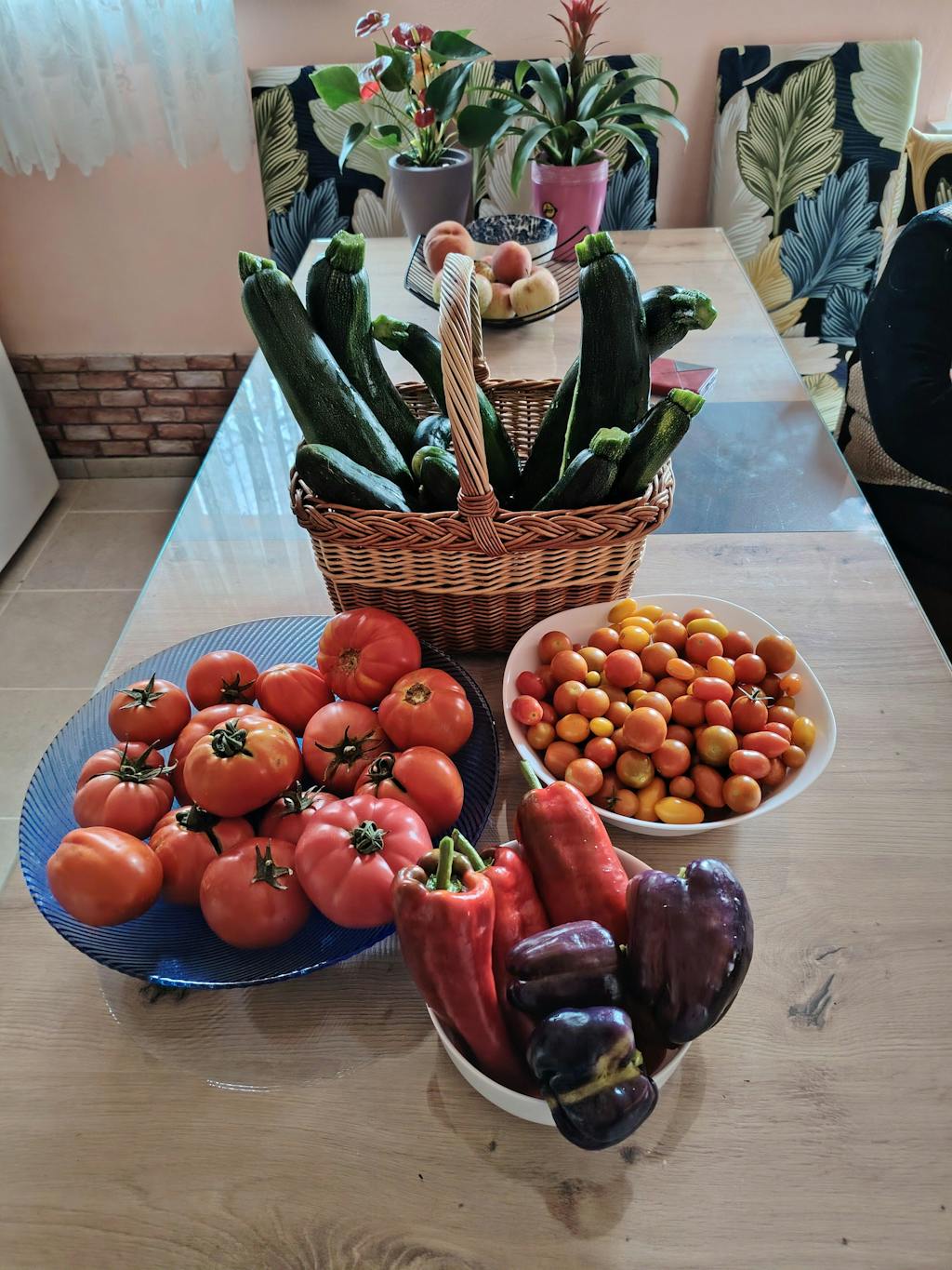 CELOLETNI PAKET SREDNJI VRT