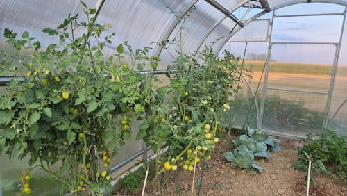 CELOLETNI PAKET SREDNJI VRT