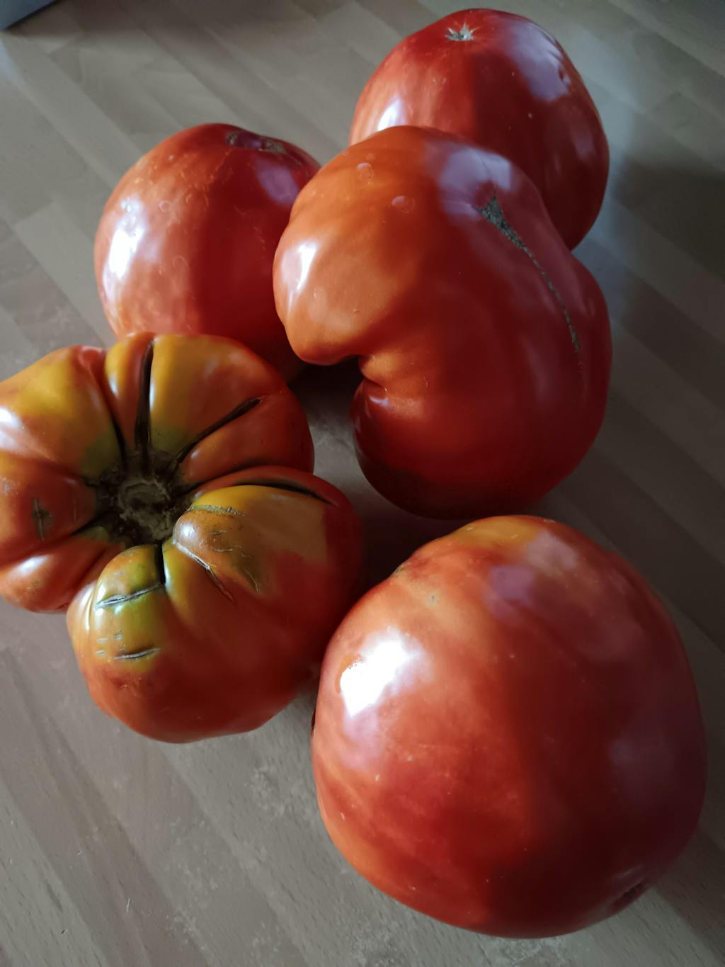 CELOLETNI PAKET SREDNJI VRT