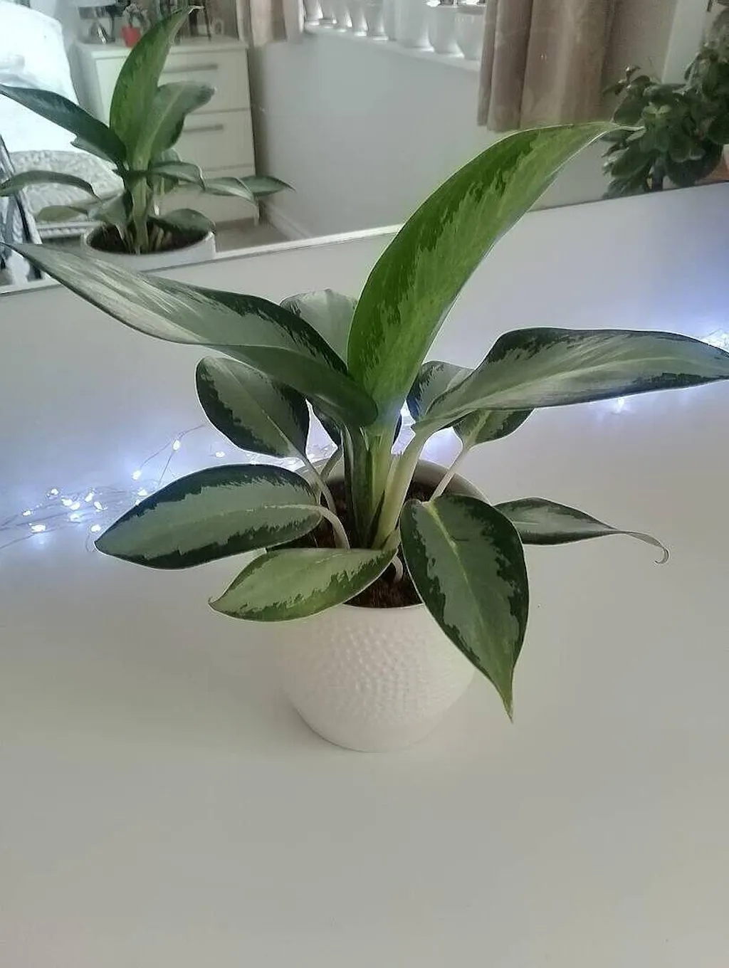 yucca tree indoor plant 46 Yucca Artificial Tree UV Resistant (Indoor/Outdoor)