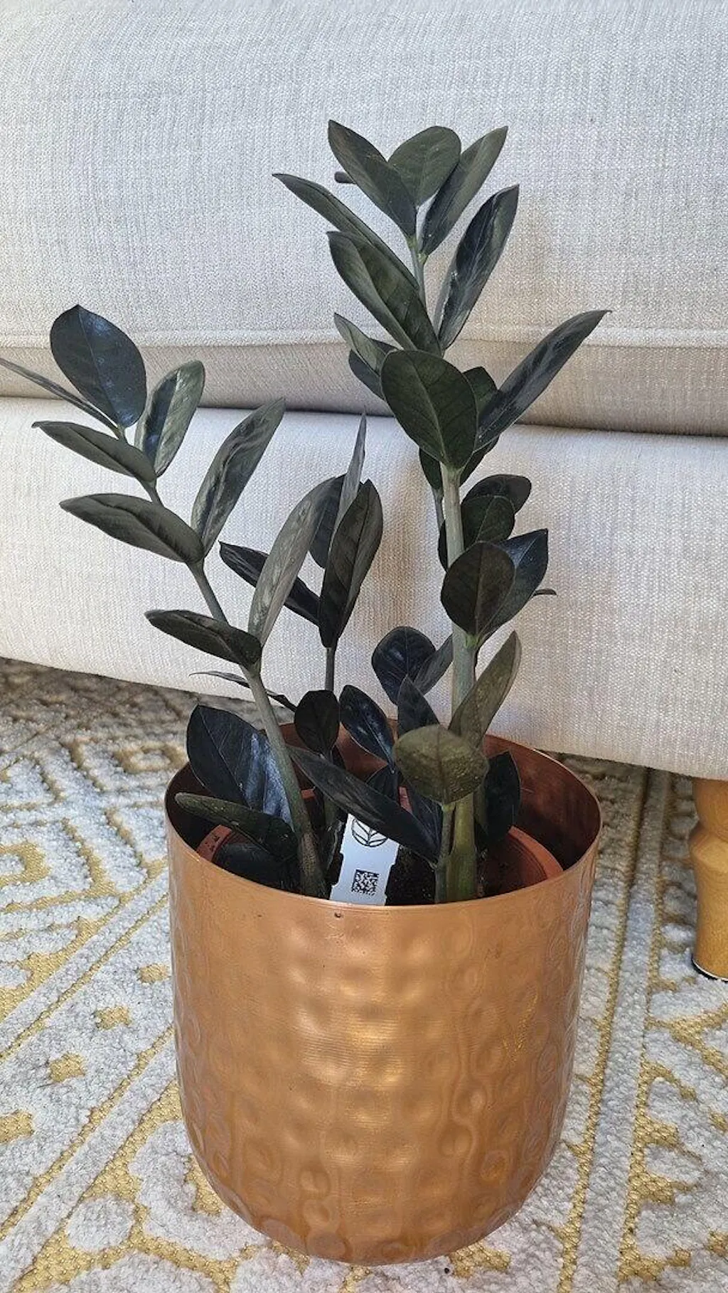 funny plant pot Witty Funny Hilarious Plant Pot for Table Decor main image 1