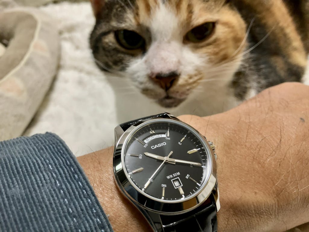 日付・曜日表示 シルバー CASIO カシオ あたらしい