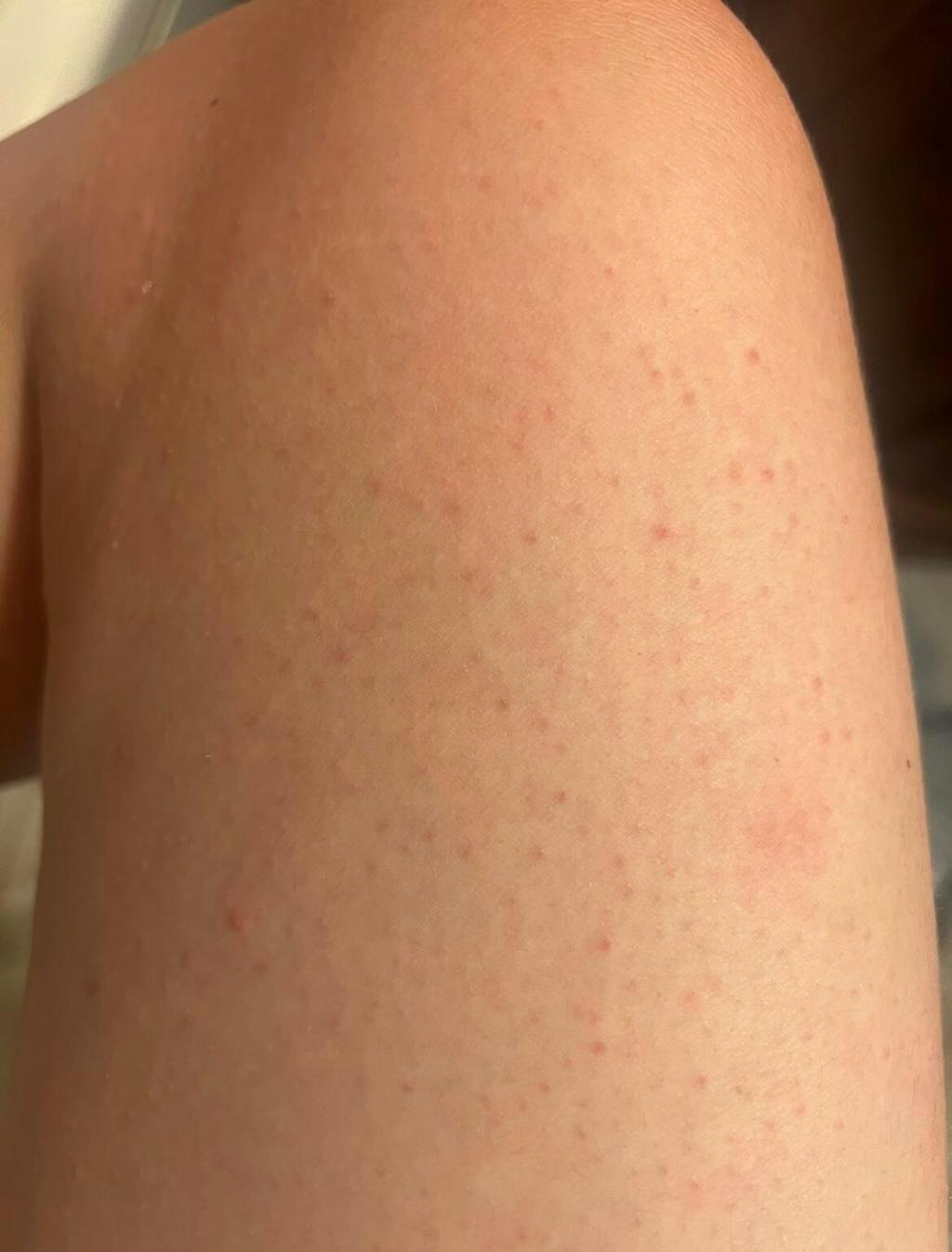 Gubba's Homestead Blend Tallow Balm