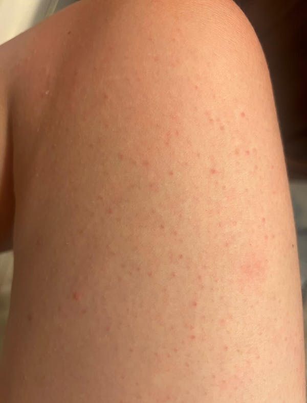 Gubba's Homestead Blend Tallow Balm