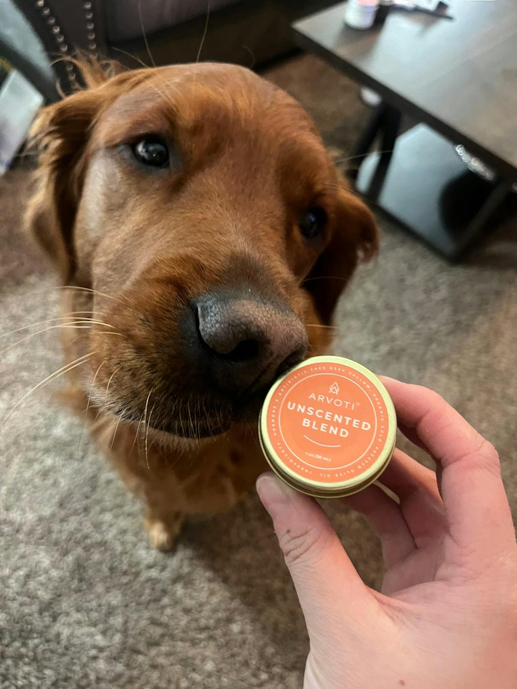 Gubba's Unscented Blend Tallow Balm