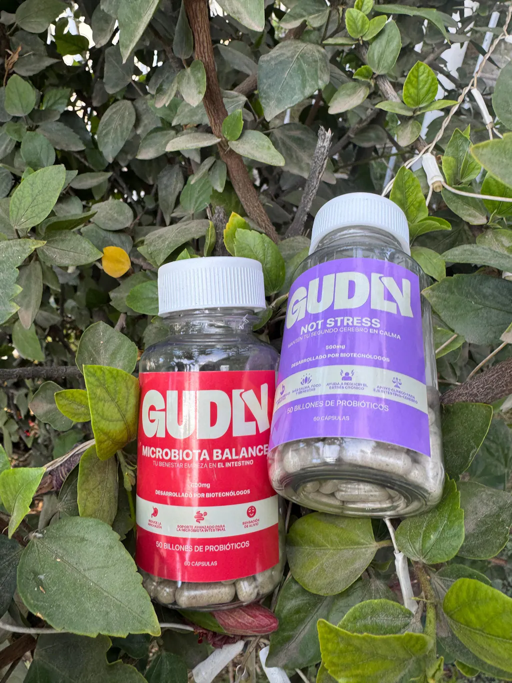 Pack Cortisol Balance