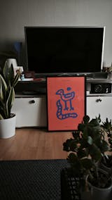 The early bird & the late snake