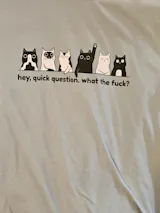Hey Quick Question T-Shirt