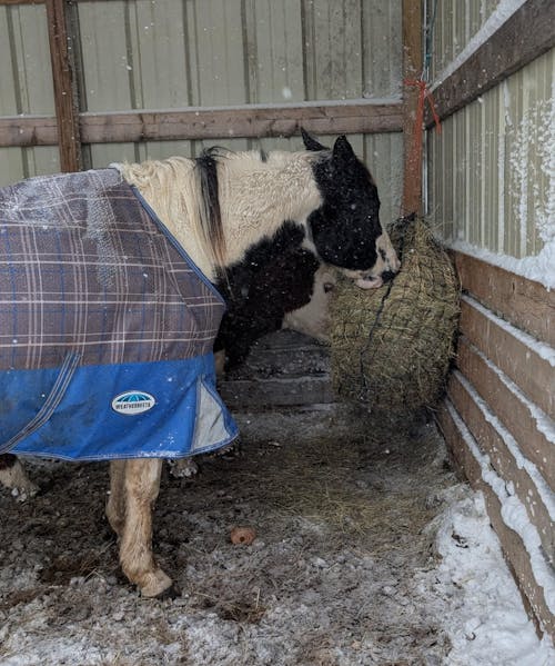 Knotless Hay Nets - 4x4 Round Bale