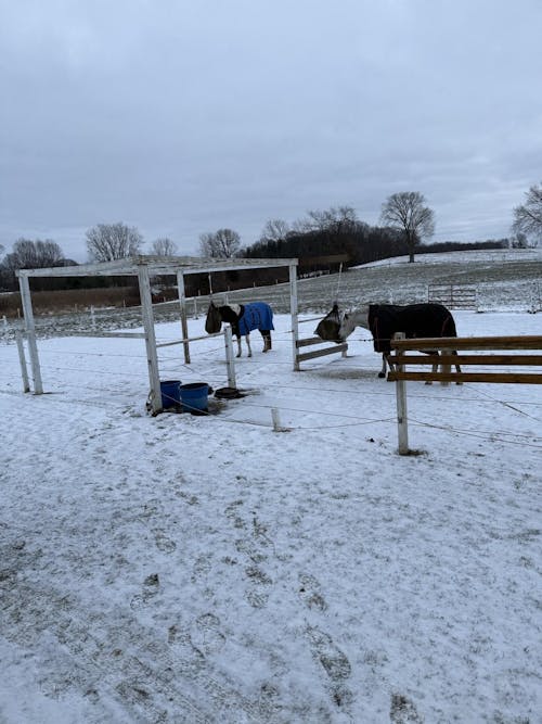 Medium Knotless Slow Feed Hay Net
