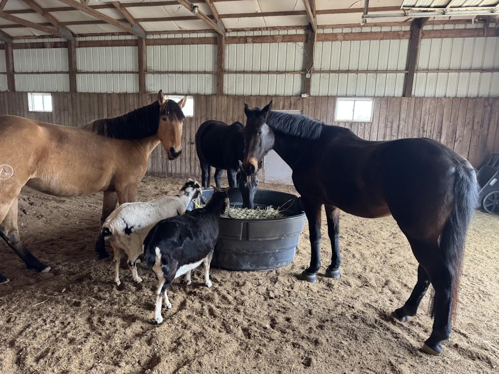 Knotless Hay Nets - 3x4 Round Bale