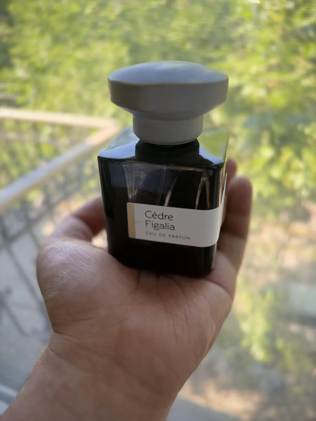 Cèdre Figalia- Atelier Materi | H Parfums