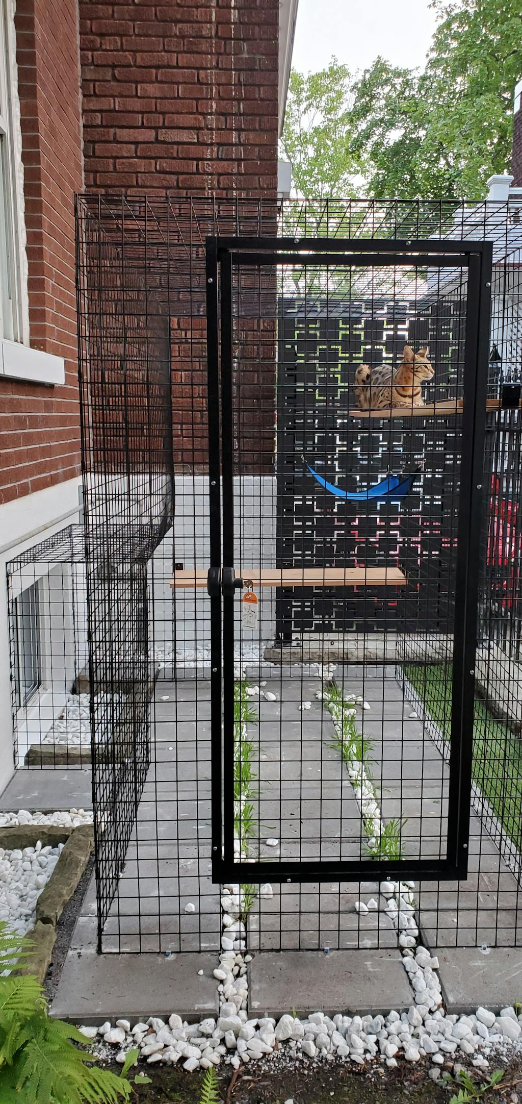 Catio Tunnels - Habitat Haven