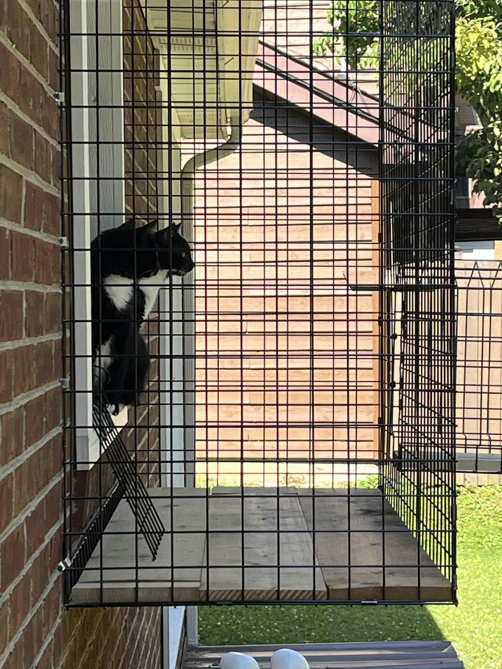 Catio Outdoor Cat Enclosures | Cat Runs by Habitat Haven