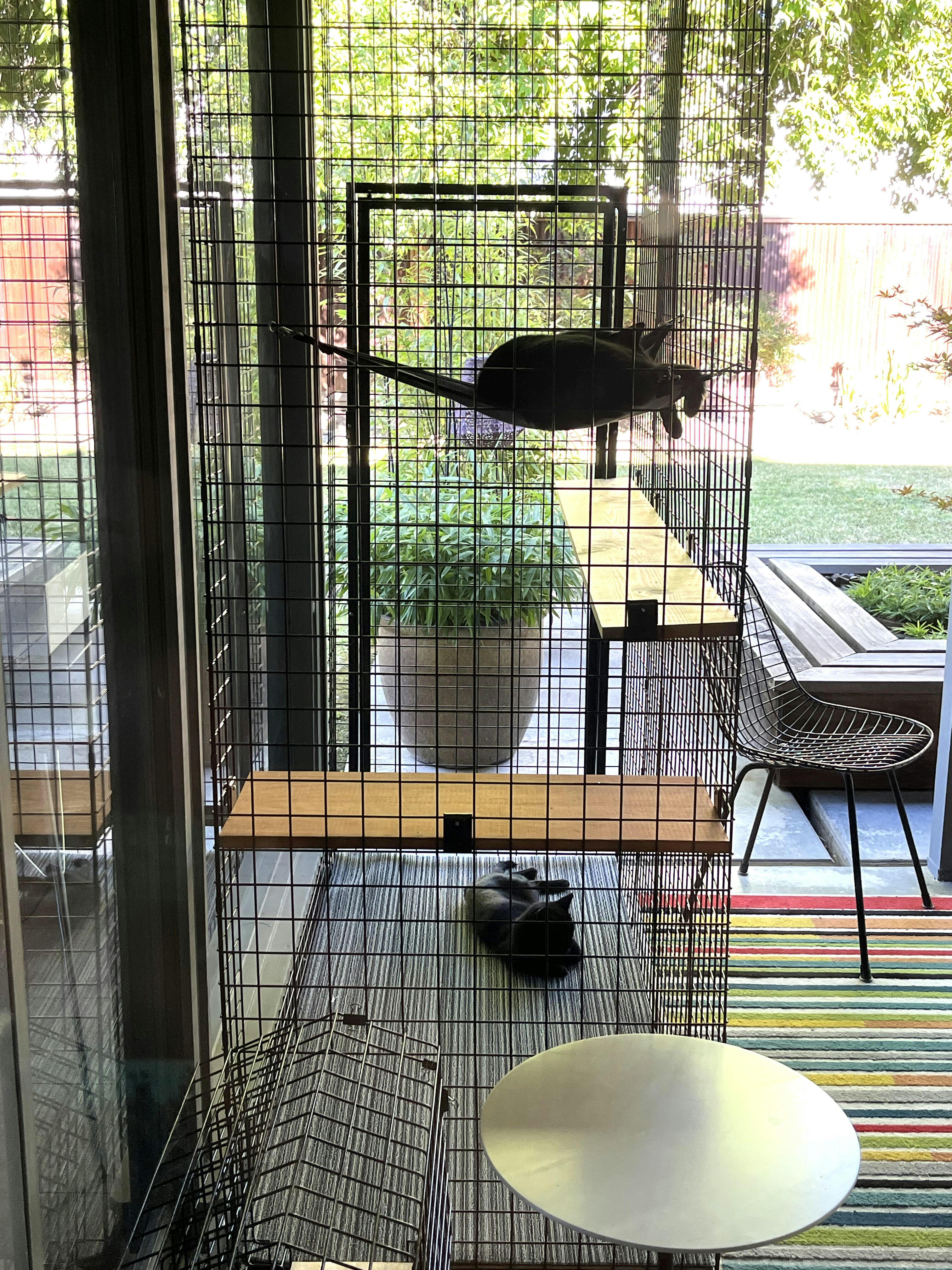 Catio Outdoor Cat Enclosures | Cat Runs By Habitat Haven