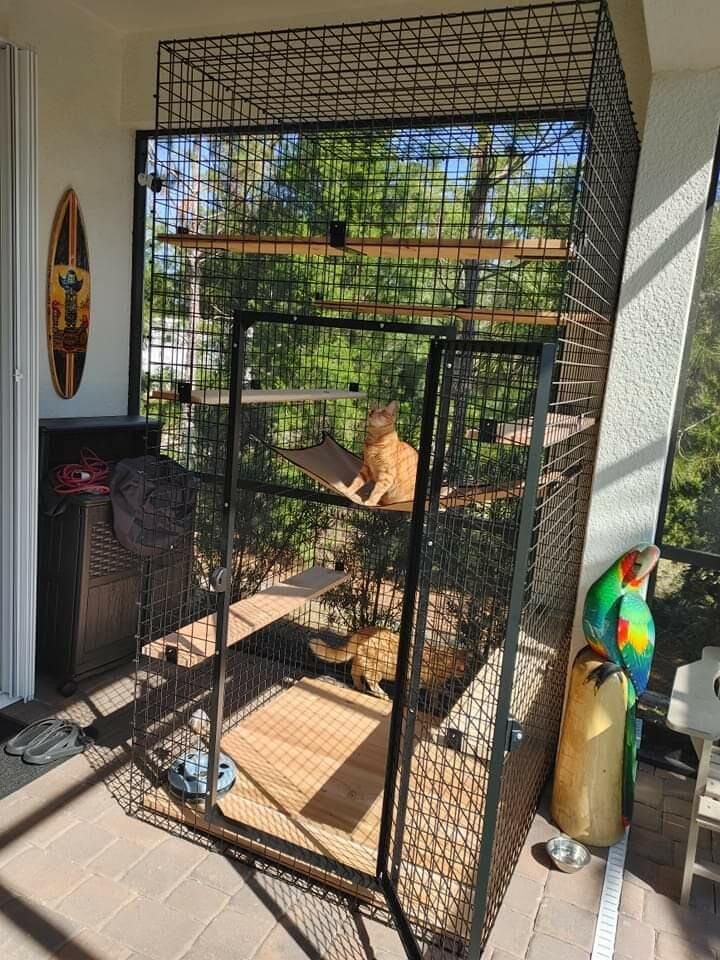 Catio Outdoor Cat Enclosures | Cat Runs By Habitat Haven