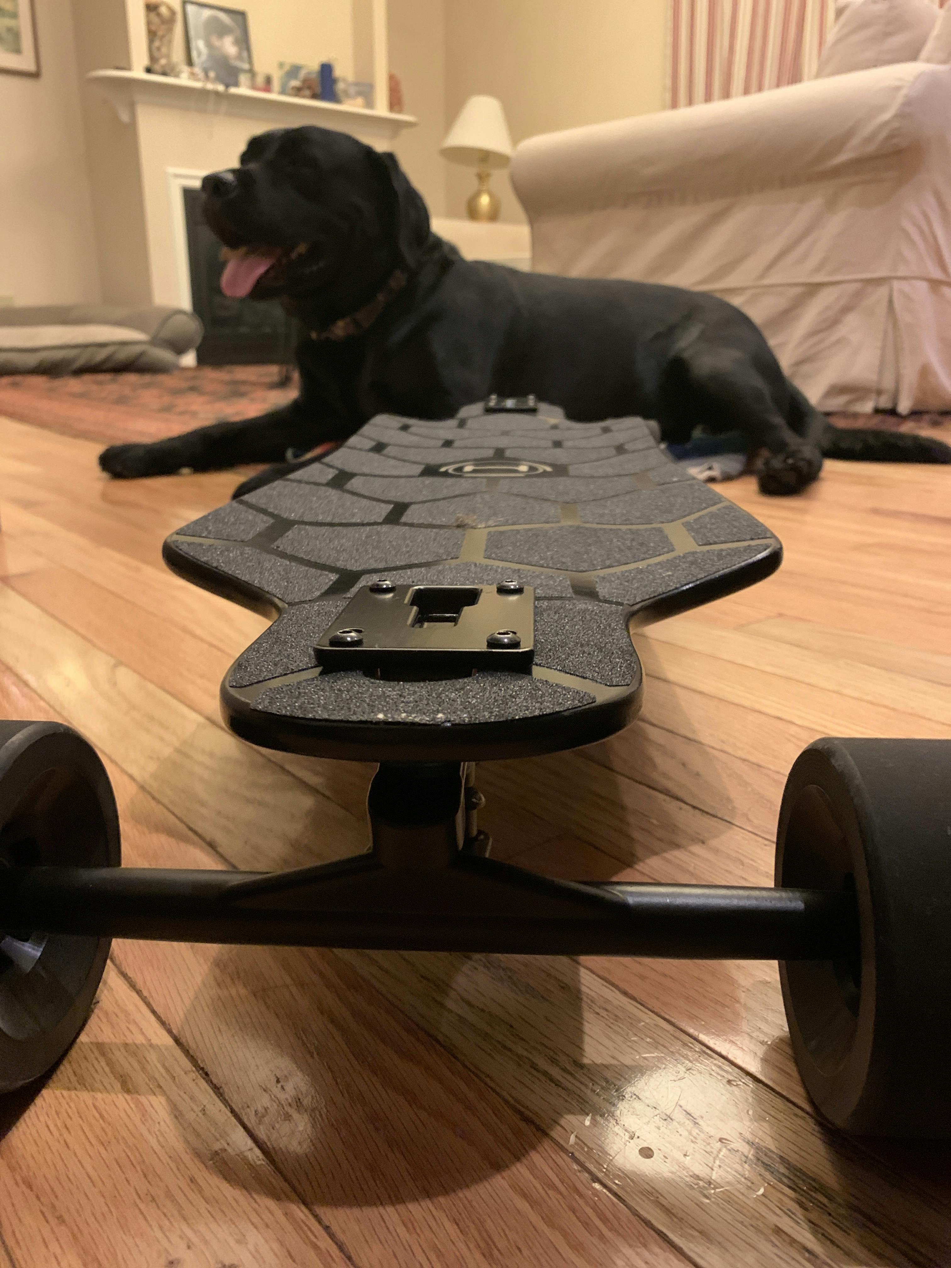 Halo Board Beast