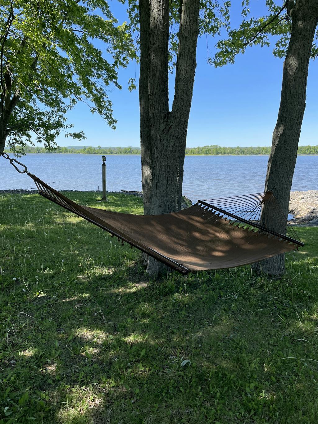 Hammock Double Polyester Deluxe Hammock Universe Canada