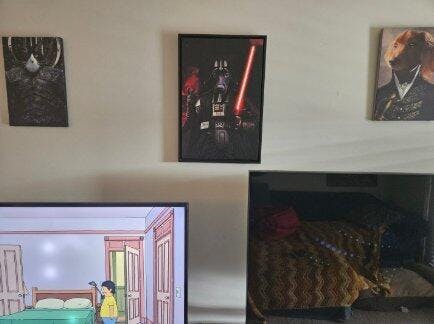 The Sci Fi Lord - Custom Pet Canvas