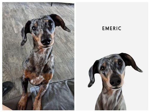 Custom One Pet Portrait -Modern Pet Portrait