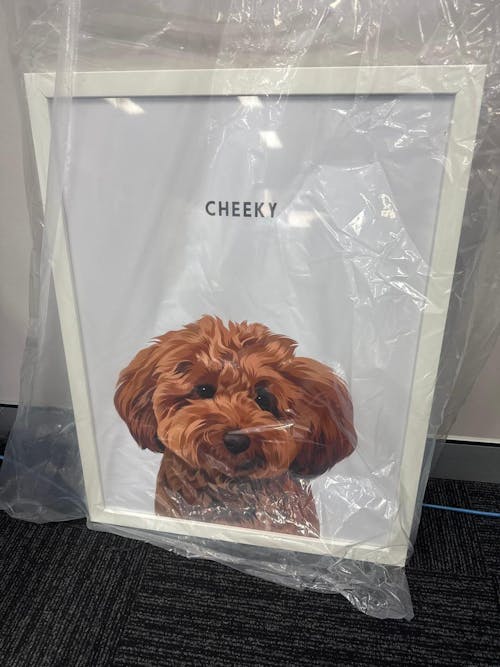 Christmas Pet Portrait - Modern Pet Portrait