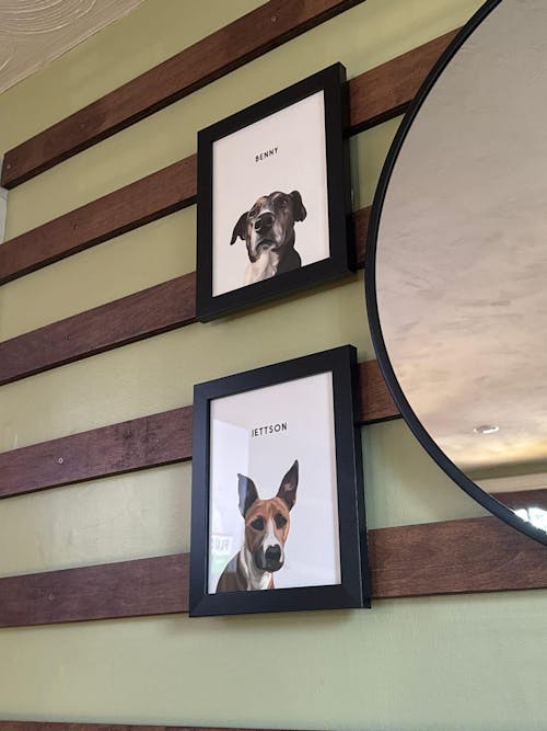 College Yearbook Style -Modern Pet Portrait