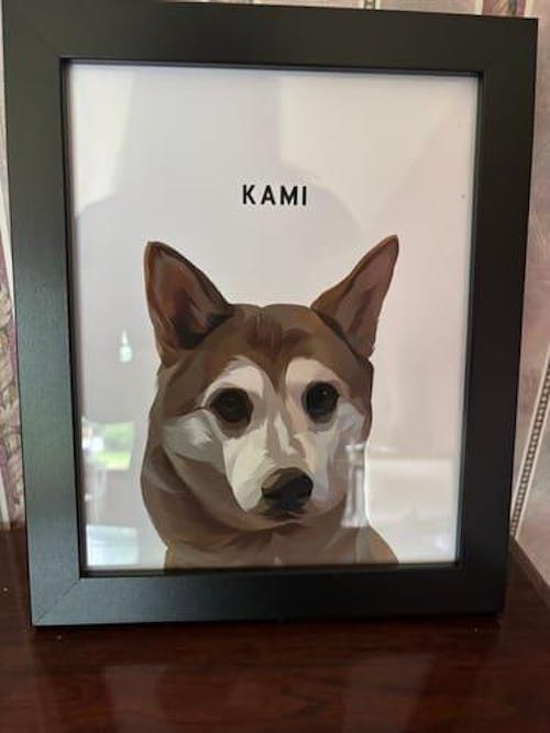 College Yearbook Style -Modern Pet Portrait