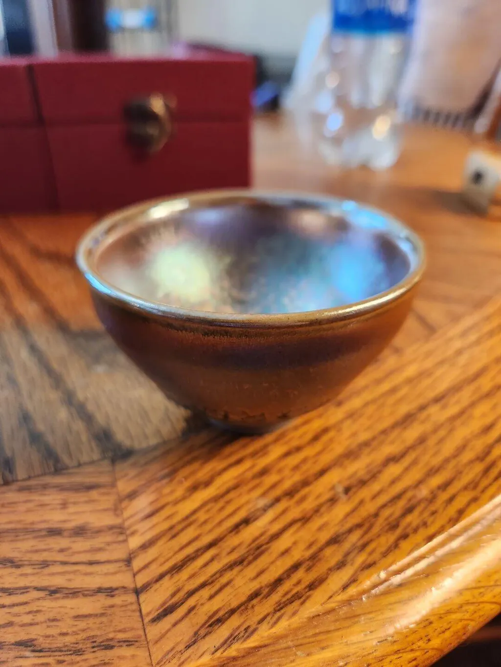 Succulent——TeaCup