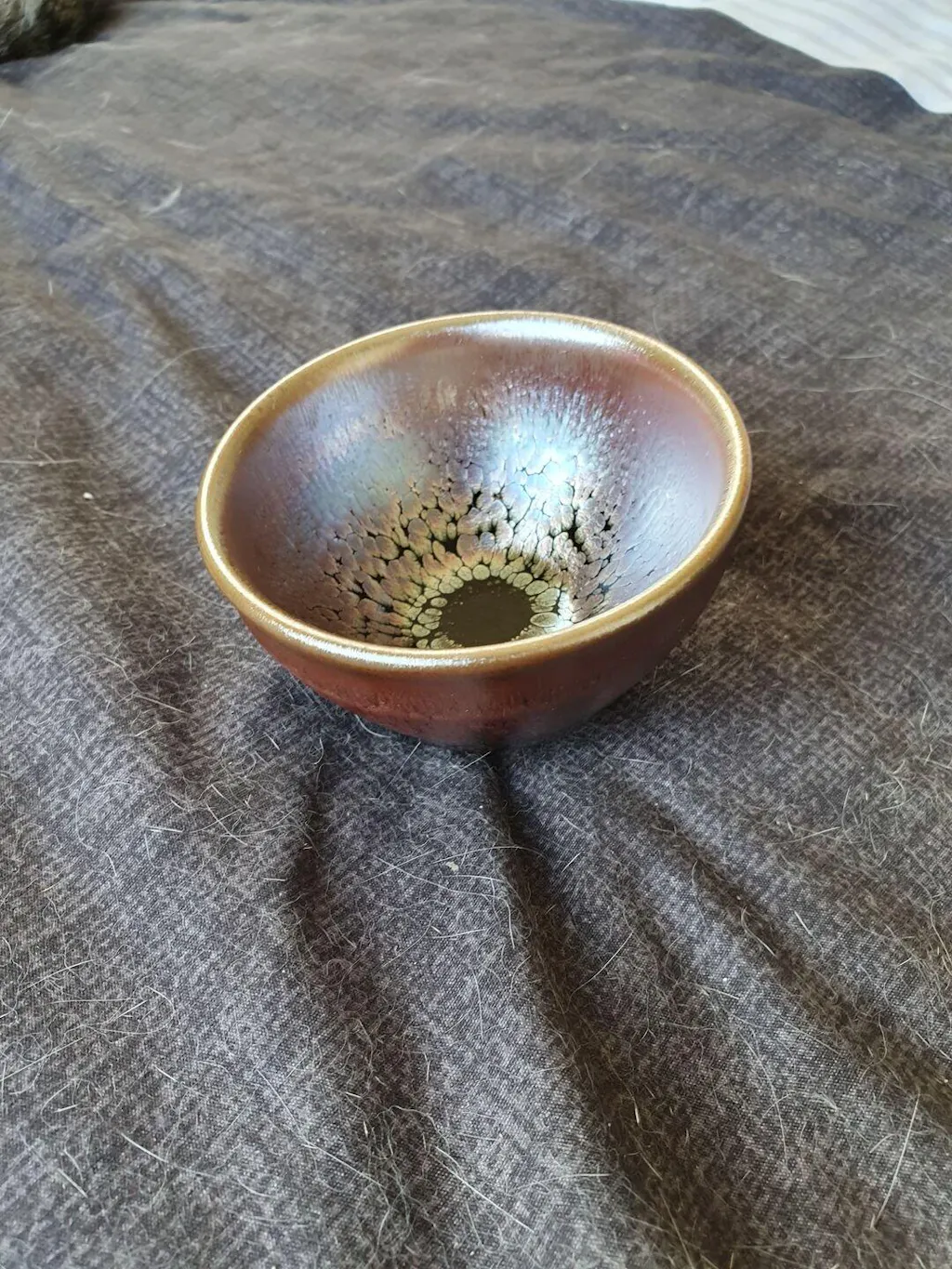 Succulent——TeaCup