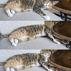 Mutant 17 Notes Handpan | Play-Both-Side