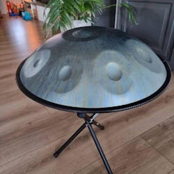 "Sunshine" | The Nature