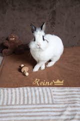 Tapis de sol IMPERMEABLE - Velours côtelé