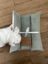 Coussin Grenouille Imperméable SOLO - Velours Côtelé