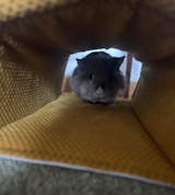 Tunnel imperméable - Velours nid d'abeille