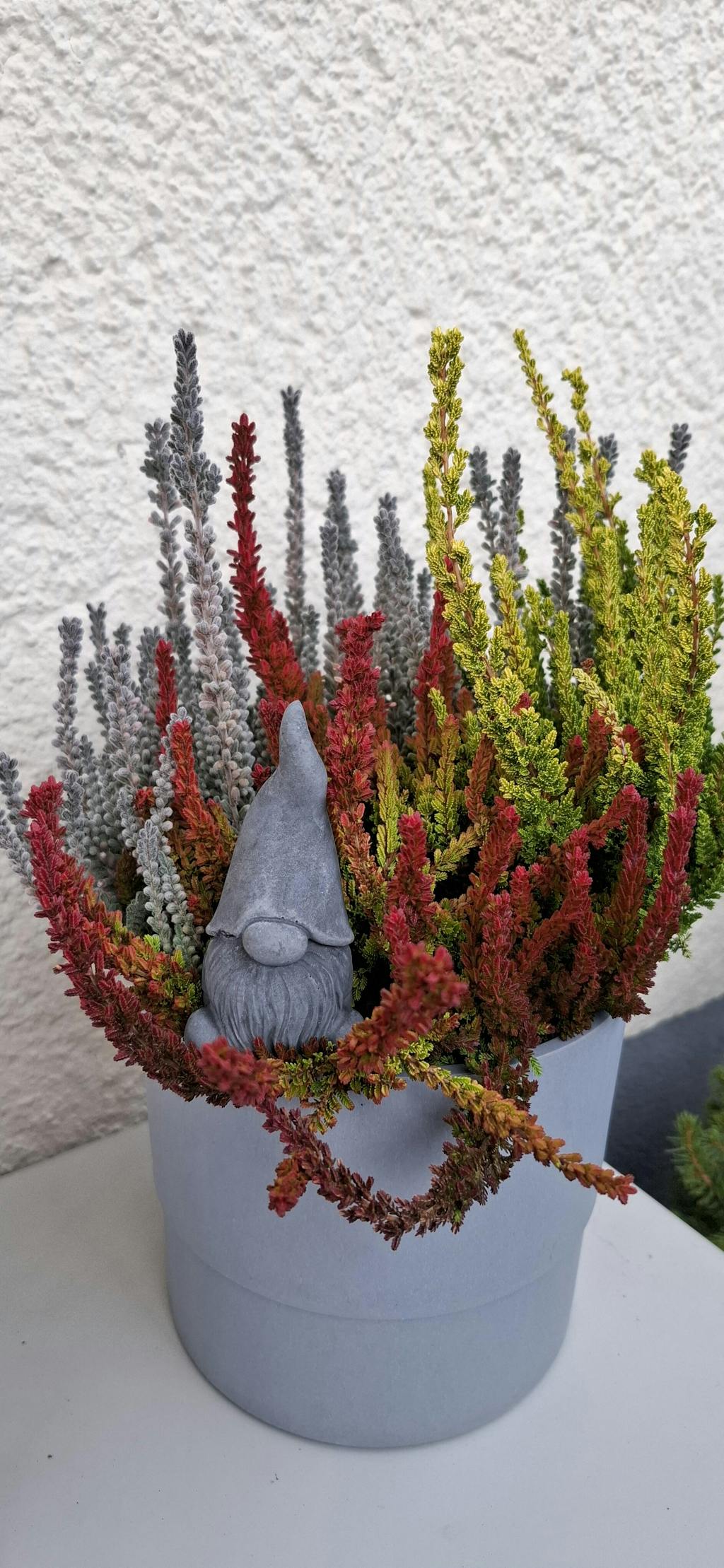 Olaf | Wichtel aus Beton