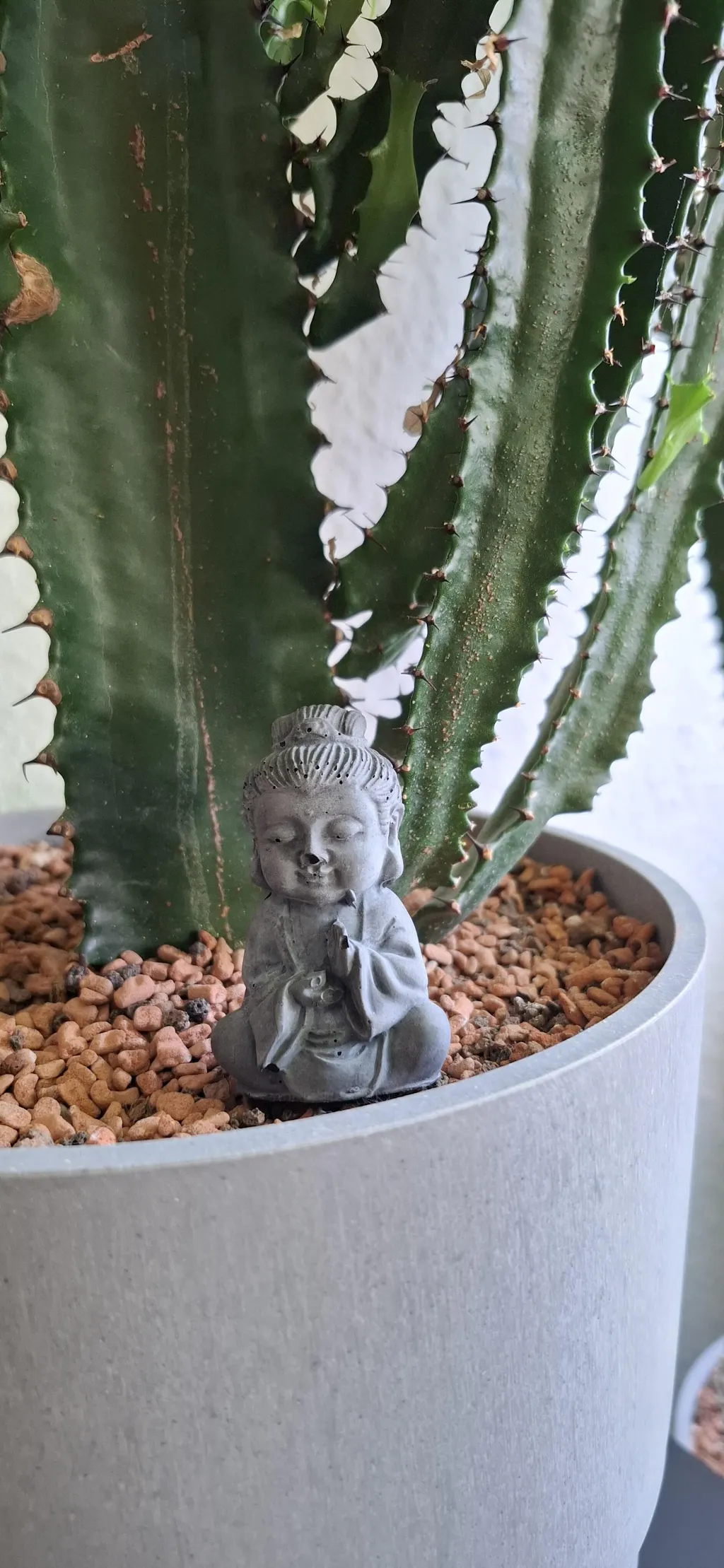 Bula | Buddha aus Beton