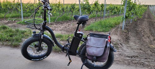 HANEVEAR Y20-Plus 20" Fat Tire Foldable Electric Bike 48V/24AH