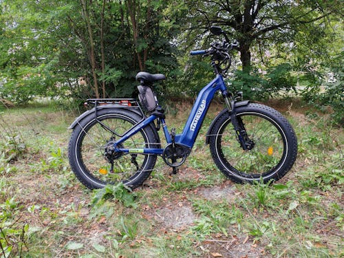 Hanevear DUCK 26" Fat Tire E-Bike 21Ah