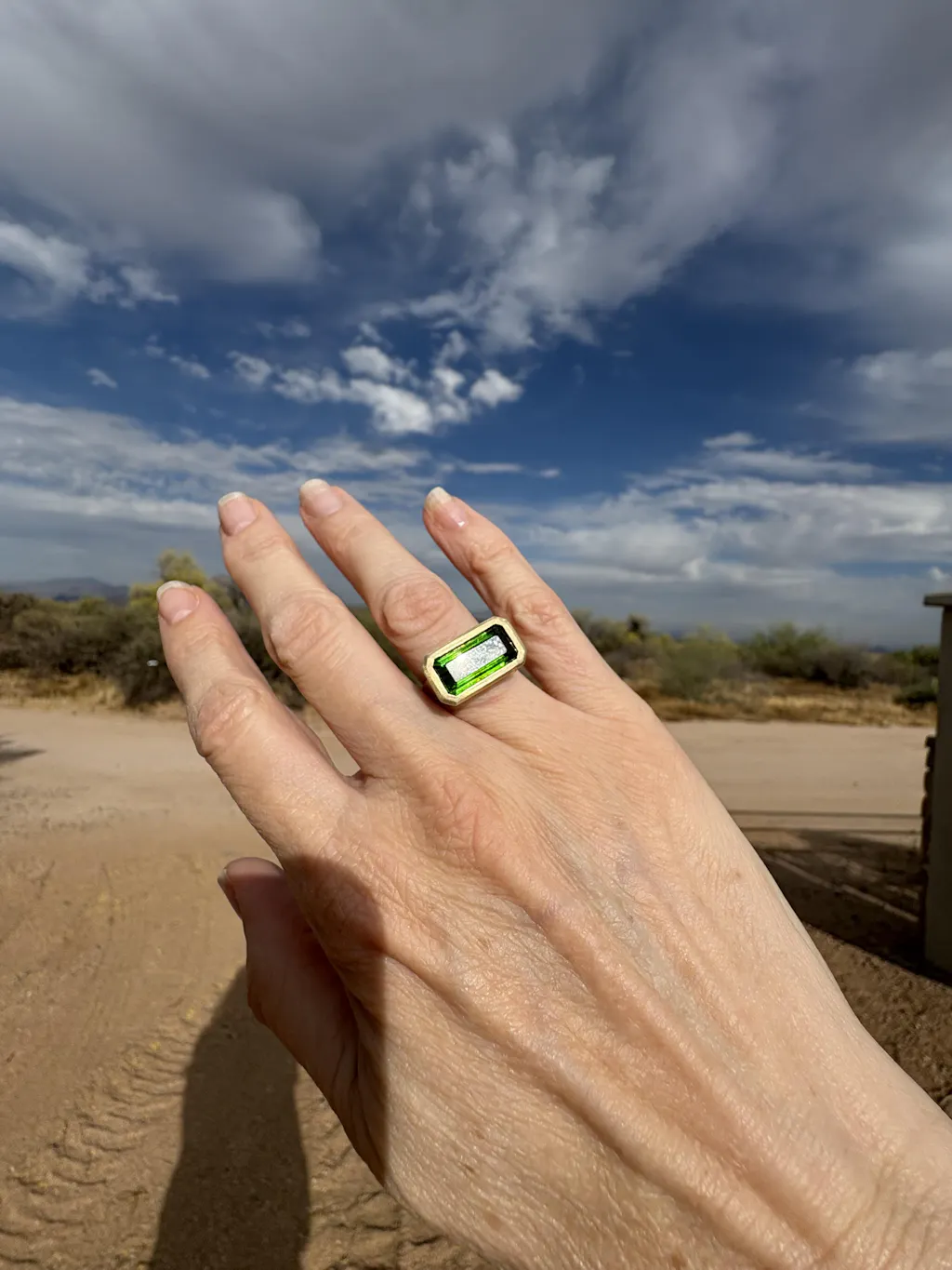 Mare Nostrum Tourmaline Ruthie B. Ring with Barnacles