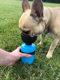 FoldCap™ - Portable Dog Water Bottle