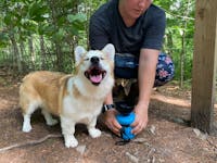 FoldCap™ - Portable Dog Water Bottle